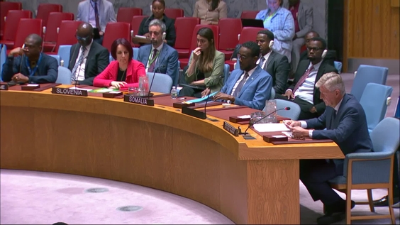 The situation in the Central African Republic - Security Council, 9946th meeting