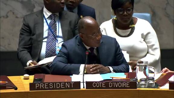 8421st Security Council Meeting: Situation in Central Africa