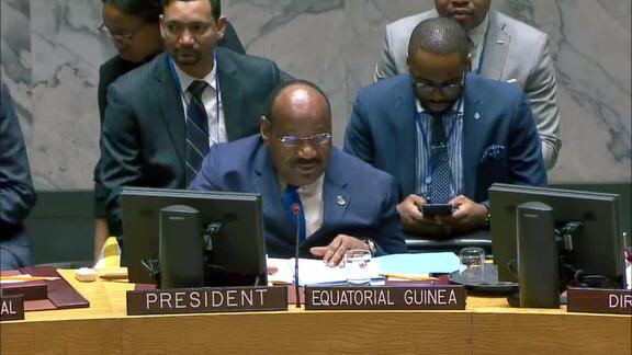 8463rd Security Council Meeting: Situation Between Iraq and Kuwait