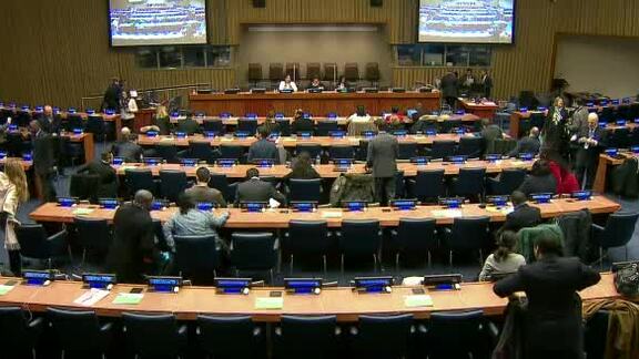 Commemoration  of the 20th Anniversary of the World Summit for Social Development
