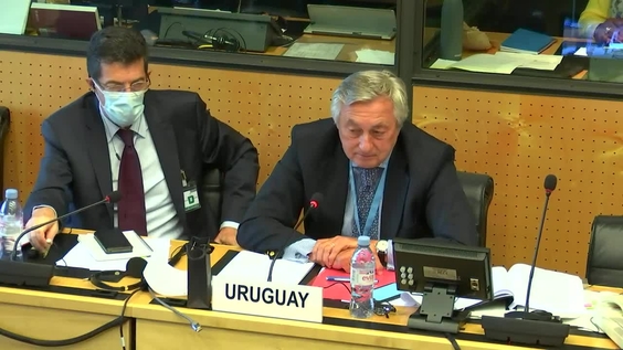 409th Meeting, 23rd Session, Committee on Enforced Disappearances (CED)