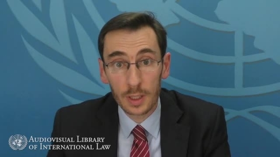 Mathias Forteau - Droit de la responsabilité internationale : Le contenu et la mise en œuvre de la responsabilité internationale