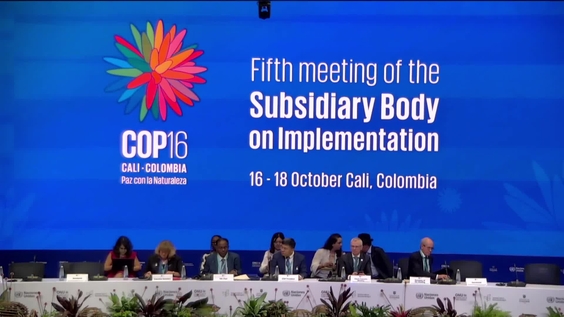 SBI-5: Plenary 1 at COP16 – United Nations Biodiversity Conference 2024
