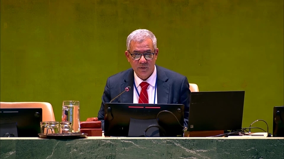 General Assembly: Eleventh Emergency Special Session (resumed) - 24th Plenary meeting