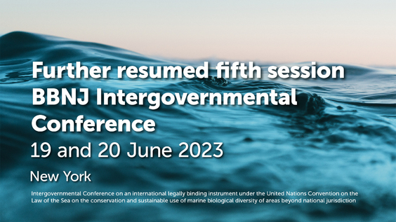 Intergovernmental Conference on Marine Biodiversity of Areas Beyond National Jurisdiction (Further resumed Fifth Session, 73rd plenary)