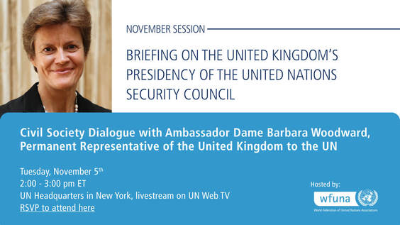 Civil Society Organizations Dialogue with United Nations Security Council President Woodward (United Kingdom)