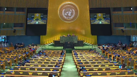 General Assembly: 17th plenary meeting, 81st session