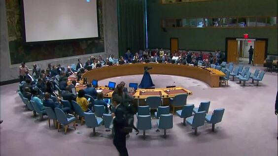 Consideration of the draft report of the Security Council to the General Assembly - Security Council, 9330th meeting