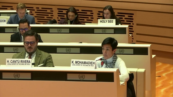 5th Meeting, 10th Session of Open-ended Intergovernmental Working Group on Transnational Corporations