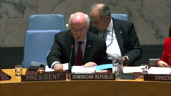 8445th Security Council Meeting: Situation in Mali