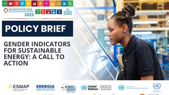 Gender Indicators for Sustainable Energy - A Call to Action (HLPF 2025 Side Event)
