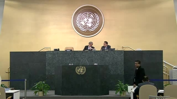 General Assembly, 101st plenary meeting