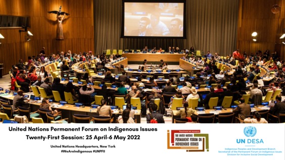 (12th meeting) Permanent Forum on Indigenous Issues, Twenty-first session: Closing of the session