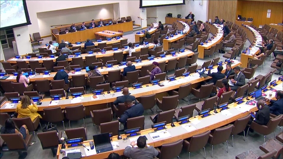 (5th meeting) Programme of Action on Small Arms and Light Weapons — Fourth Review Conference (RevCon4)