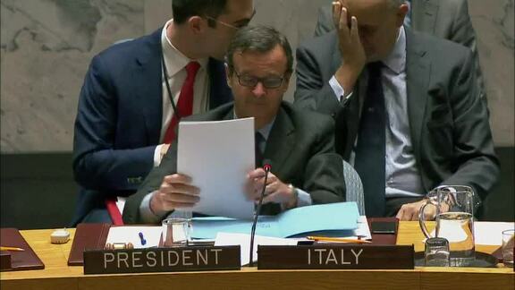 8102nd Security Council Meeting: The situation in Central African Republic