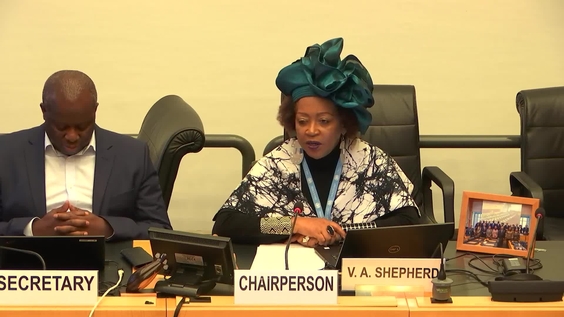 3049th Meeting, 111th Session, Committee on the Elimination of Racial Discrimination (CERD)