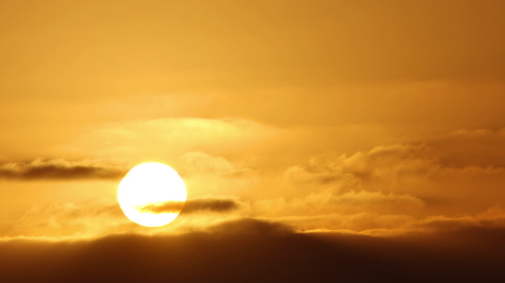 Join the Global Coalition for Social Justice