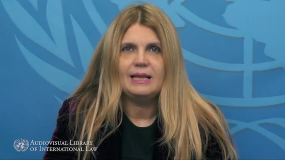 Iulia Motoc - The European Court of Human Rights and General International Law