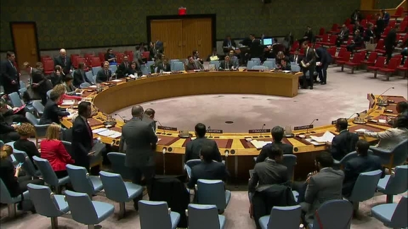 8242nd Security Council Meeting: Situation in Middle East