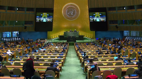 General Assembly: 61st plenary meeting, 80th session