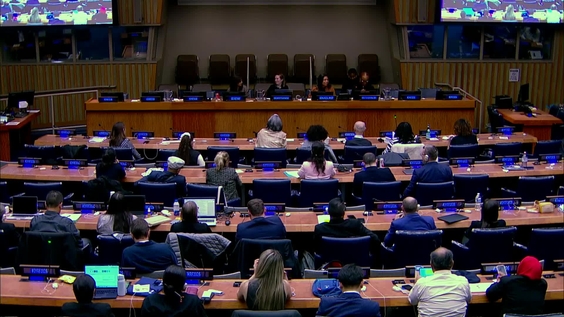 International Migration Review Forum 2026 - Informal interactive multi-stakeholder hearing (Continued)