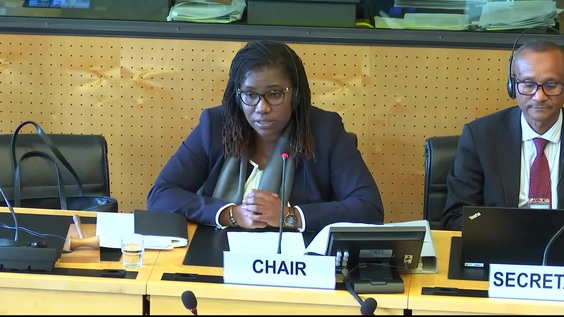 570th Meeting, 38th Session, Committee on Migrant Workers (CMW)