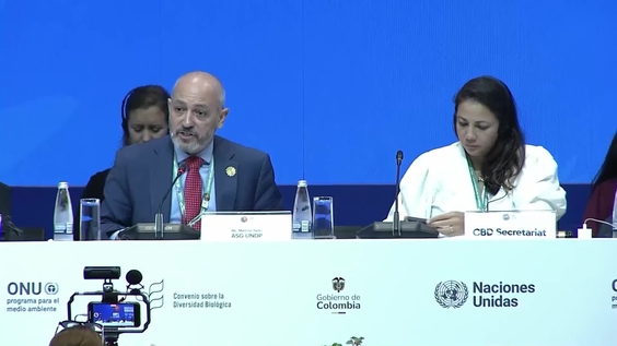 High-level segment at COP16 – United Nations Biodiversity Conference 2024