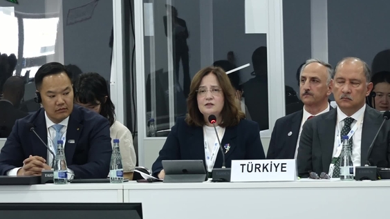High Level Dialogue: From Ambition to Action: Delivering Rio Synergies Across the Triple COP Year - UNCCD COP17