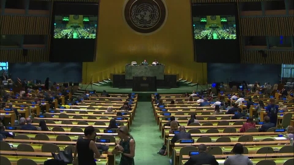 100th Plenary Meeting of General Assembly 73rd Session