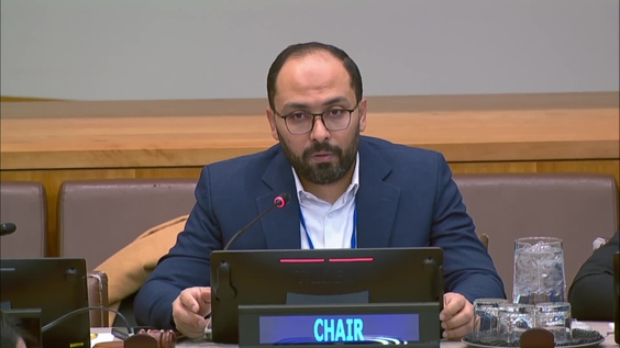 (11th meeting) Intergovernmental Negotiating Committee on the United Nations Framework Convention on International Tax Cooperation - Fourth Session