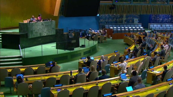 General Assembly: 102nd plenary meeting, 78th session