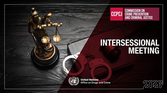 CCPCJ Third Intersessional Meeting