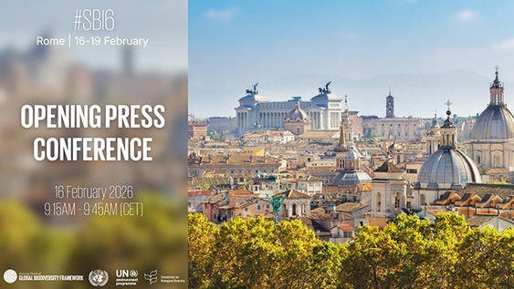 Food and Agriculture Organization of the United Nations (FAO)