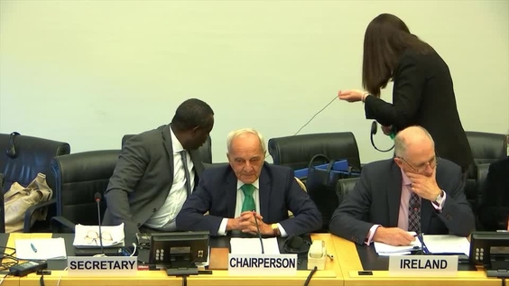 Consideration of Ireland - 2784th Meeting, 100th Session Committee on Elimination of Racial Discrimination