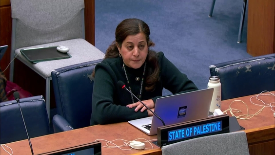 Fourth Committee, 25th plenary meeting - General Assembly, 80th session