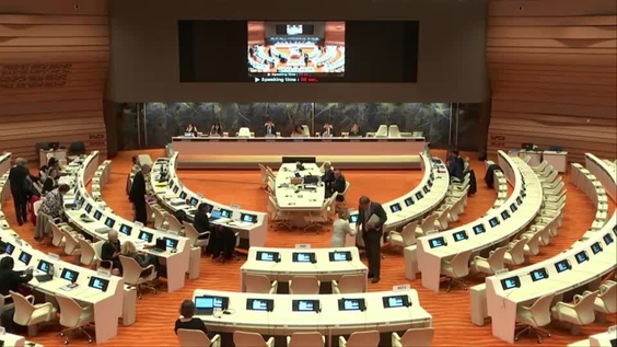 Consideration of Bosnia and Herzegovina (Cont'd) - 1733rd Meeting, 74th Session Committee on the Elimination of Discrimination Against Women 