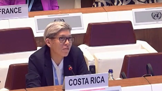 4th Meeting, 2nd Session Group of Governmental Experts on Lethal Autonomous Weapons Systems 2024