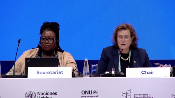 Working Group 1 (7th meeting) at COP16 – United Nations Biodiversity Conference 2024