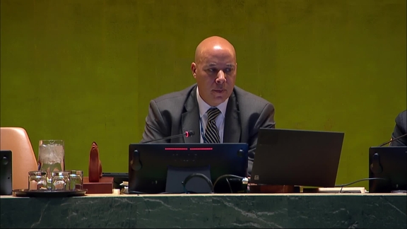 General Assembly: Eleventh Emergency Special Session (Resumed: 21st Plenary meeting)