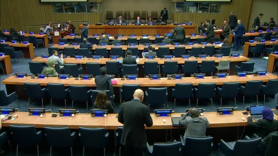 Fourth Committee, 22nd meeting - General Assembly, 74th session