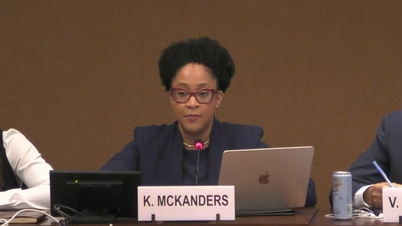 Consultations 1st Part - 4th Session, IIEM on Law Enforcement