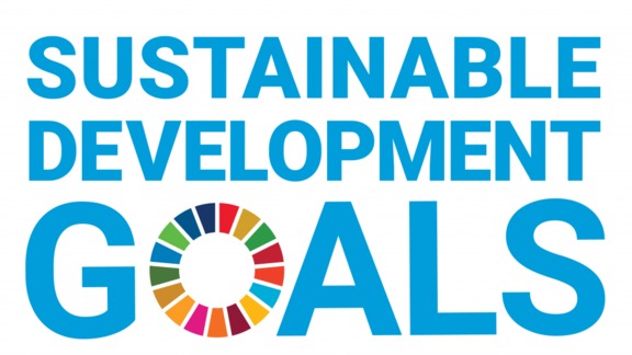 Common Agenda consultation 2: "Accelerating the SDGs through sustainable financing and building trust"