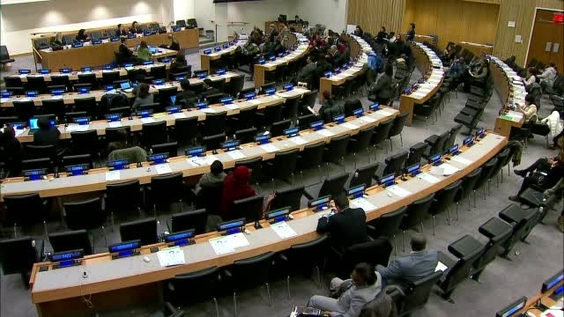 13th meeting, Commission on the Status of Women - Fifty-eighth session ...
