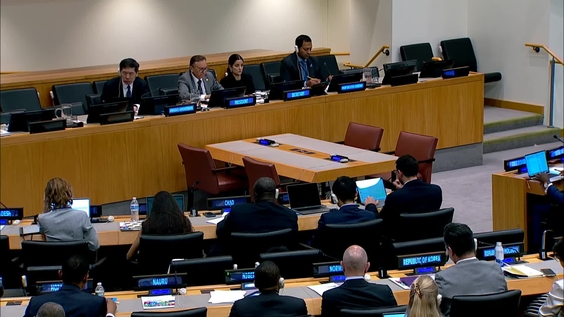 7th meeting - Executive Board of UNDP, UNFPA and UNOPS (Annual Session 2025)