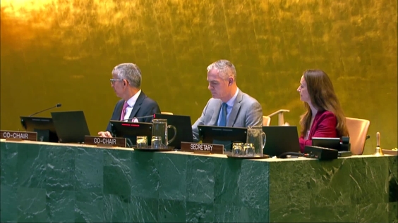 United Nations High-Level International Conference on "The Peaceful Settlement of the Question of Palestine and the Implementation of the Two-State Solution" - 4th plenary session (General debate, continued)