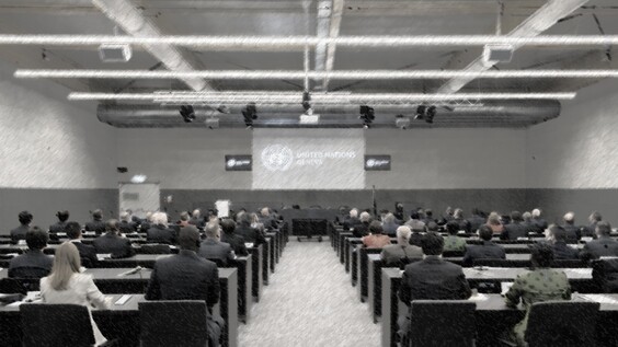 4th Meeting, Organizational Meeting of Intergovernmental Working Group on older persons