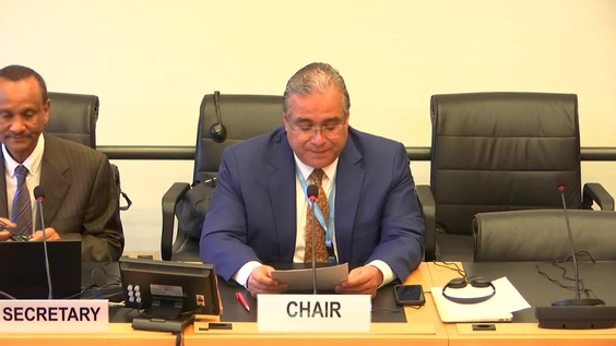 530th Meeting, 36th Session, Committee on Migrant Workers (CMW)