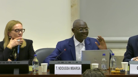 6th Meeting, 17th Session of the Expert Group on Resource Management