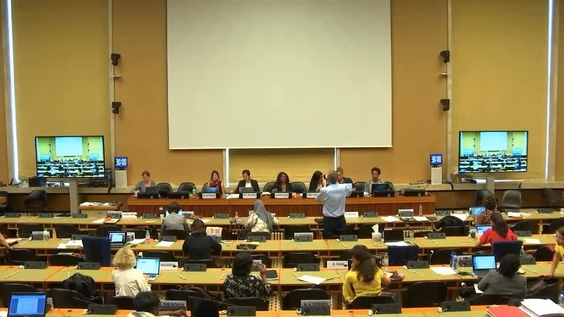 Consideration of Cabo Verde - 1704th Meeting, 73rd Session Committee on the Elimination of Discrimination Against Women 