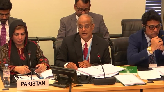 3086th Meeting, 113th Session, Committee on the Elimination of Racial Discrimination (CERD)